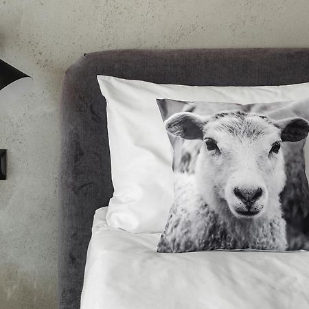 Bed and Breakfast Biala Owca Закопане Екстер'єр фото A cushion cover
