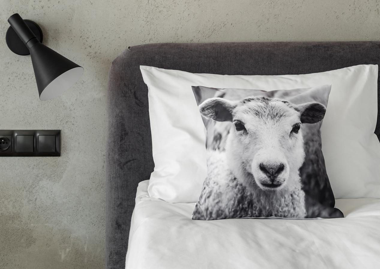 Bed and Breakfast Biala Owca Закопане Екстер'єр фото A cushion cover