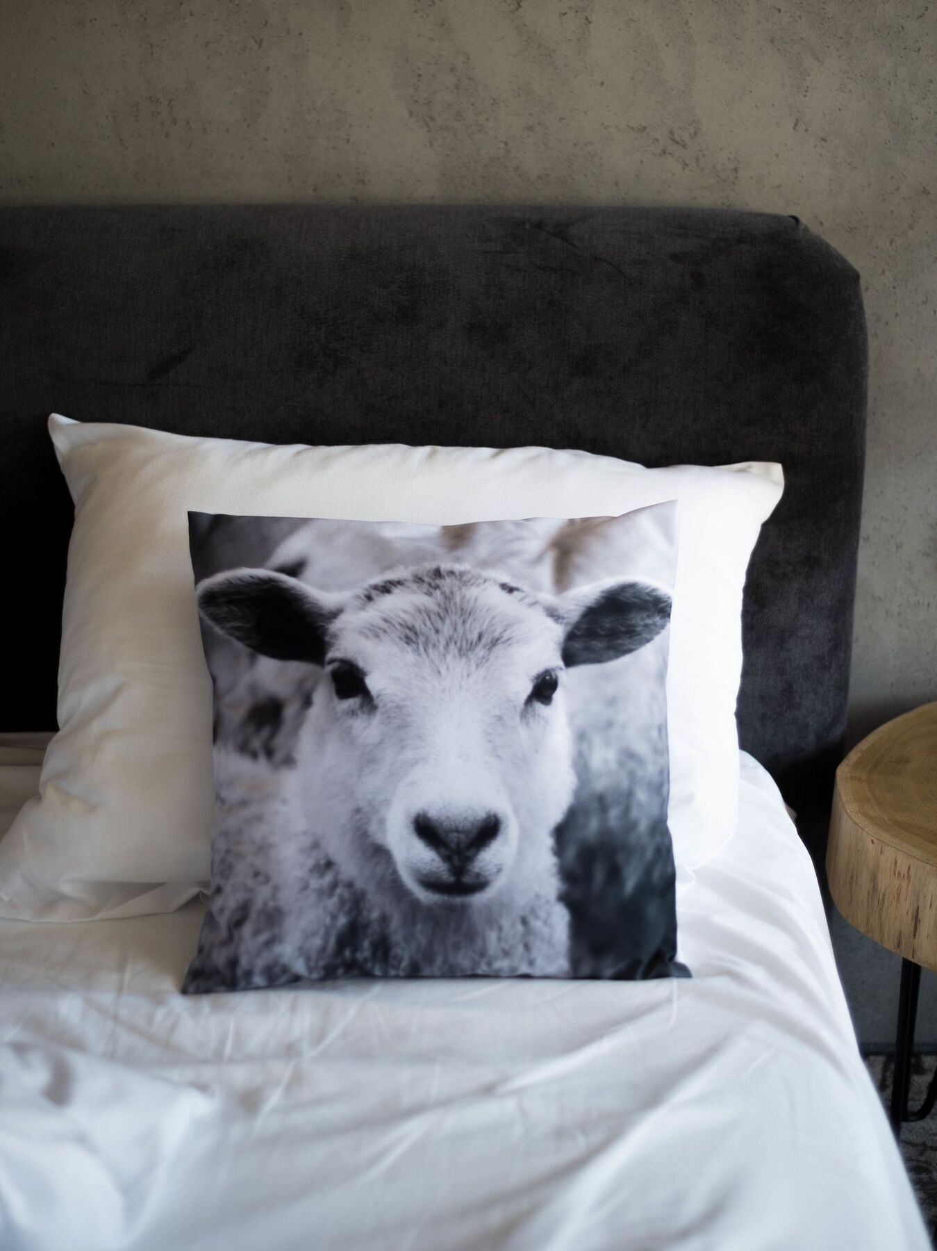 Bed and Breakfast Biala Owca Закопане Екстер'єр фото A cushion